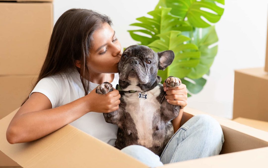 Moving with Pets: 4 Tips for a Seamless Change