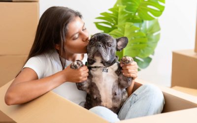 Moving with Pets: 4 Tips for a Seamless Change