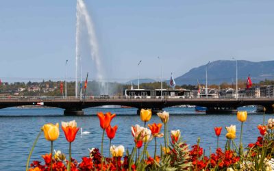 5 raisons de déménager à Genève